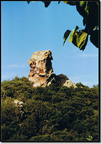 Mit viel Phantasie sieht der Felsen aus wie ein Indianerkopf mit Federschmuck