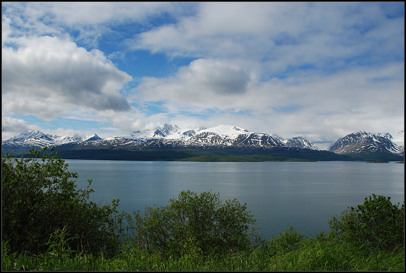 Lyngenfjords