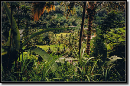 Landschaft Bali
