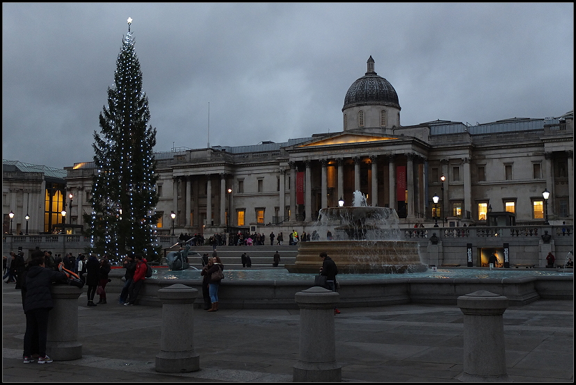 Trafalgar Square mit Weihnachtsbaum