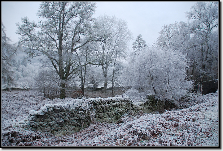 Alles war wunderschn mit Raureif berzogen