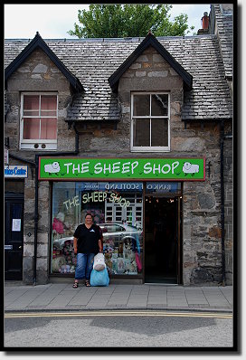 The Sheep Shop